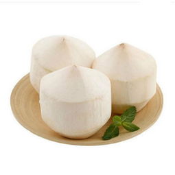 預(yù)售 椰青一件 9個裝 進口新鮮椰子甘甜